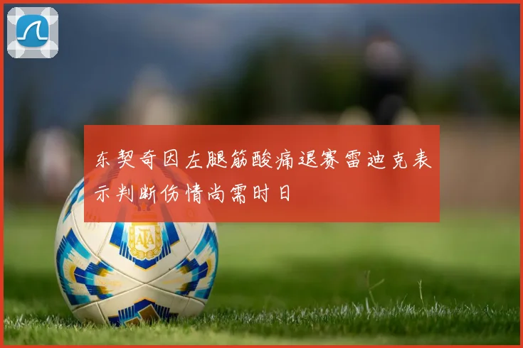 东契奇因左腿筋酸痛退赛雷迪克表示判断伤情尚需时日