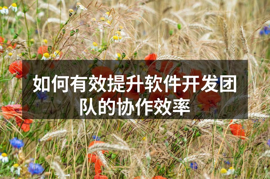 提升协作效率的团队会议